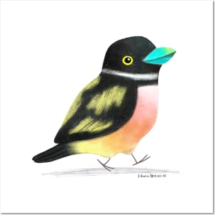 Black and Yellow Broadbill Bird 2 Posters and Art